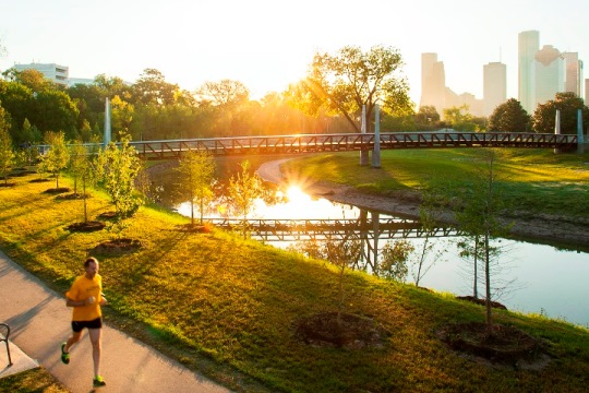 Houston, TX